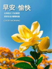 “²⁰²⁴/₁₁.₁₂李白：属于你的早安朋友圈文案”-7955-3