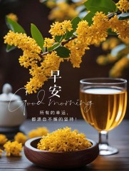 “²⁰²⁴/₁₁.₁₂李白：属于你的早安朋友圈文案”-7955-9