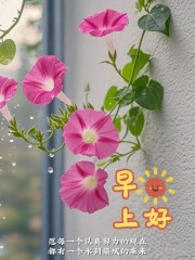 “²⁰²⁴/₁₁.₁₁李白：周一･ω･早安朋友圈”-7957-1