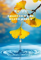 “²⁰²⁴/₁₁.₁₀李白：早安朋友圈文案已送达”-7959-3