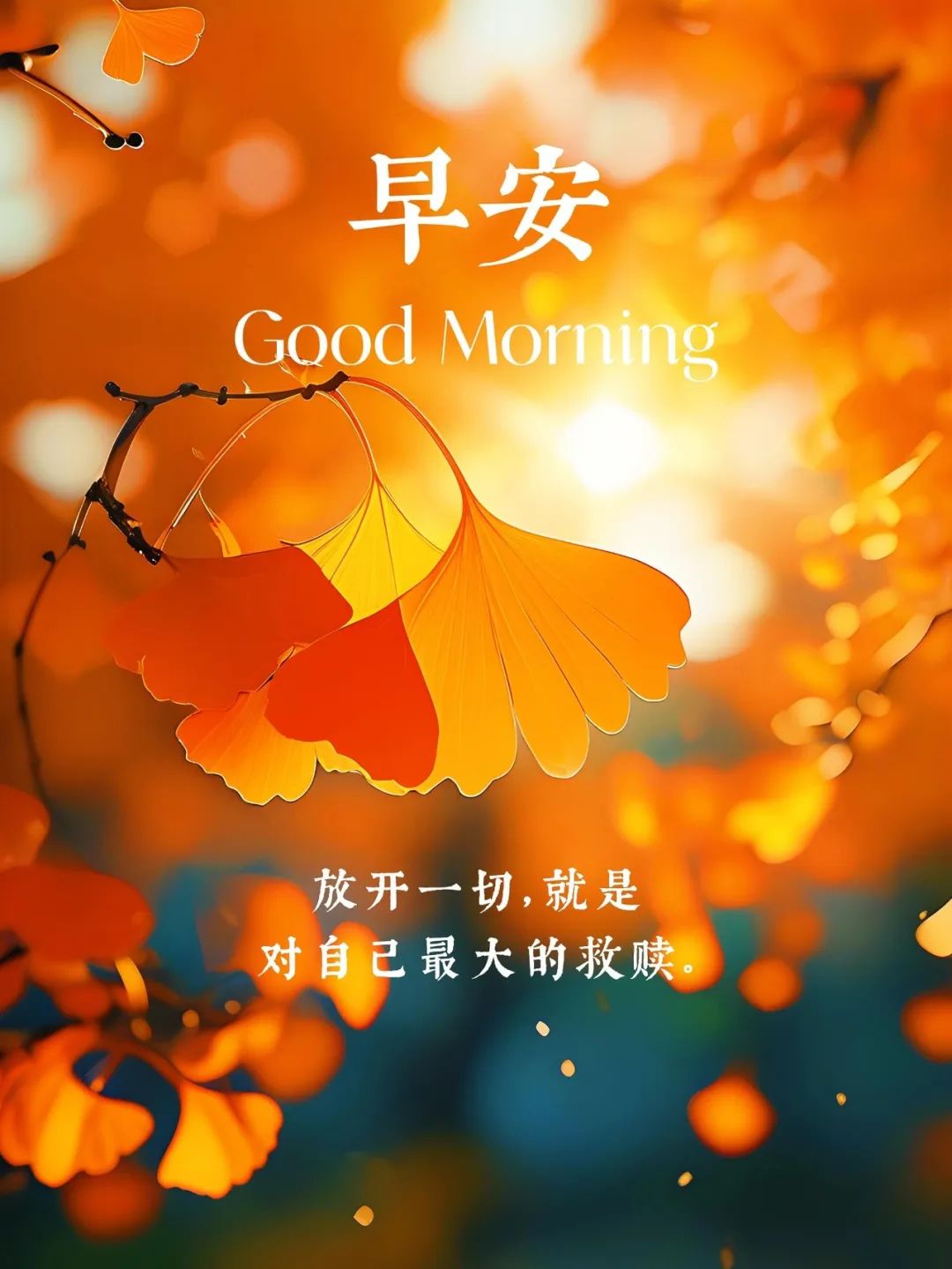“²⁰²⁴/₁₁.₀₉李白：今天的早安朋友圈已到位”-7962-1
