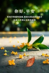 “²⁰²⁴/₁₁.₀₉李白：今天的早安朋友圈已到位”-7962-3
