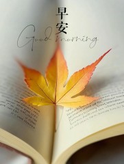 “²⁰²⁴/₁₁.₁₄鲁迅：今天我来了-属于你的早安问候”-7989-4
