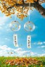 “²⁰²⁴/₁₁.₁₄鲁迅：今天我来了-属于你的早安问候”-7989-7