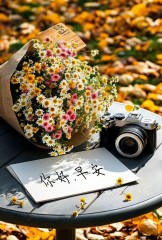 “²⁰²⁴/₁₁.₁₃李白：今日的早安文案来了”-7992-4
