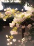 “一个女人，朋友圈这么发，说明她很聪明”-8009-5