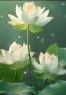 “一个女人，朋友圈这么发，说明她很聪明”-8009-9
