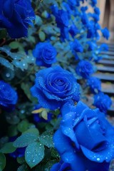 “一个女人，朋友圈这么发，说明她很聪明”-8063-4