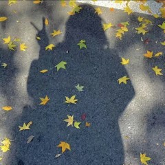 ˗ˋˏ早安朋友圈文案ˎˊ˗²⁰²⁴/₁₁.₀₈：新的一天耕耘、努力、微笑...-8076-4