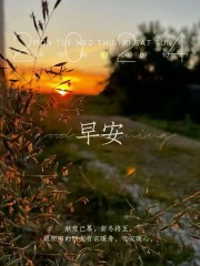 “˗ˋˏ早安朋友圈文案ˎˊ˗²⁰²⁴/₁₁.₀₇：愿你三冬暖，愿你春不寒，立冬快乐呀”-8077-4
