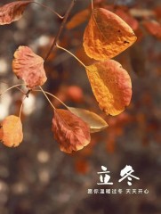 “˗ˋˏ早安朋友圈文案ˎˊ˗²⁰²⁴/₁₁.₀₇：愿你三冬暖，愿你春不寒，立冬快乐呀”-8077-3