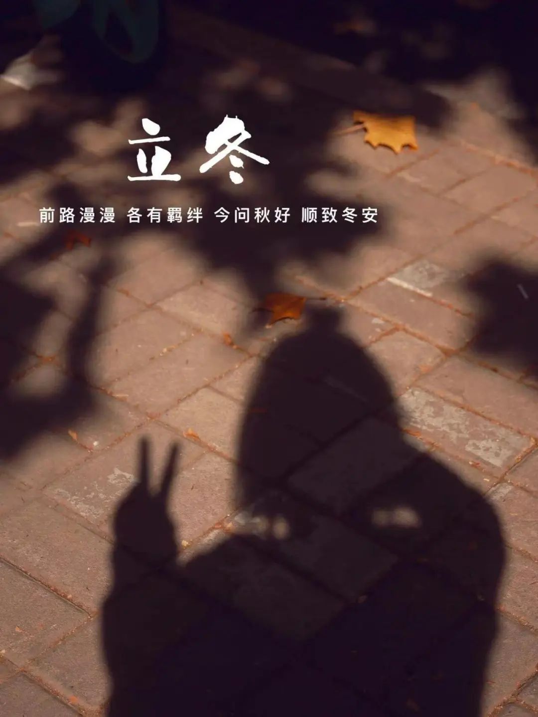 “˗ˋˏ早安朋友圈文案ˎˊ˗²⁰²⁴/₁₁.₀₇：愿你三冬暖，愿你春不寒，立冬快乐呀”-8077-5