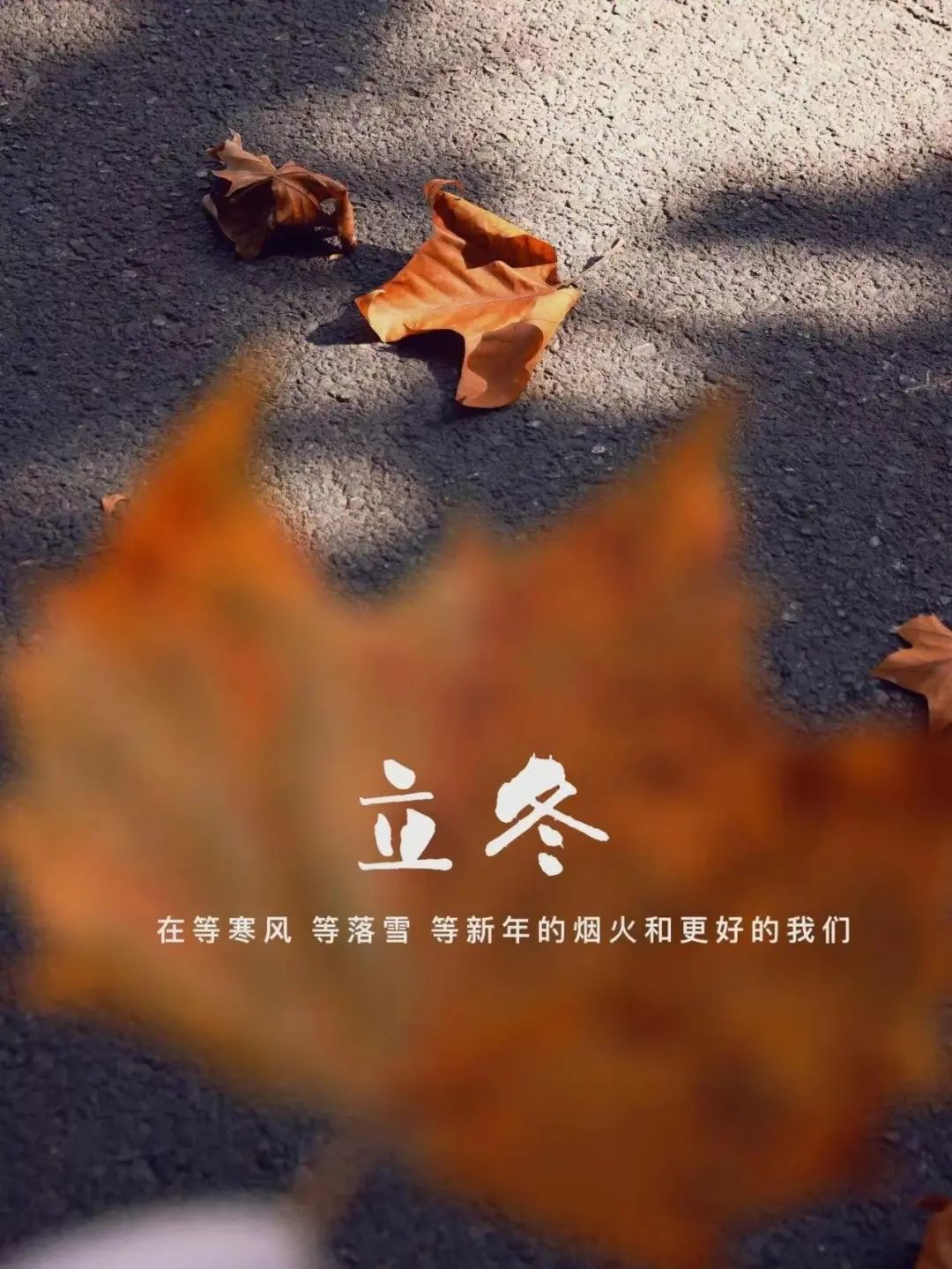 “˗ˋˏ早安朋友圈文案ˎˊ˗²⁰²⁴/₁₁.₀₇：愿你三冬暖，愿你春不寒，立冬快乐呀”-8077-6