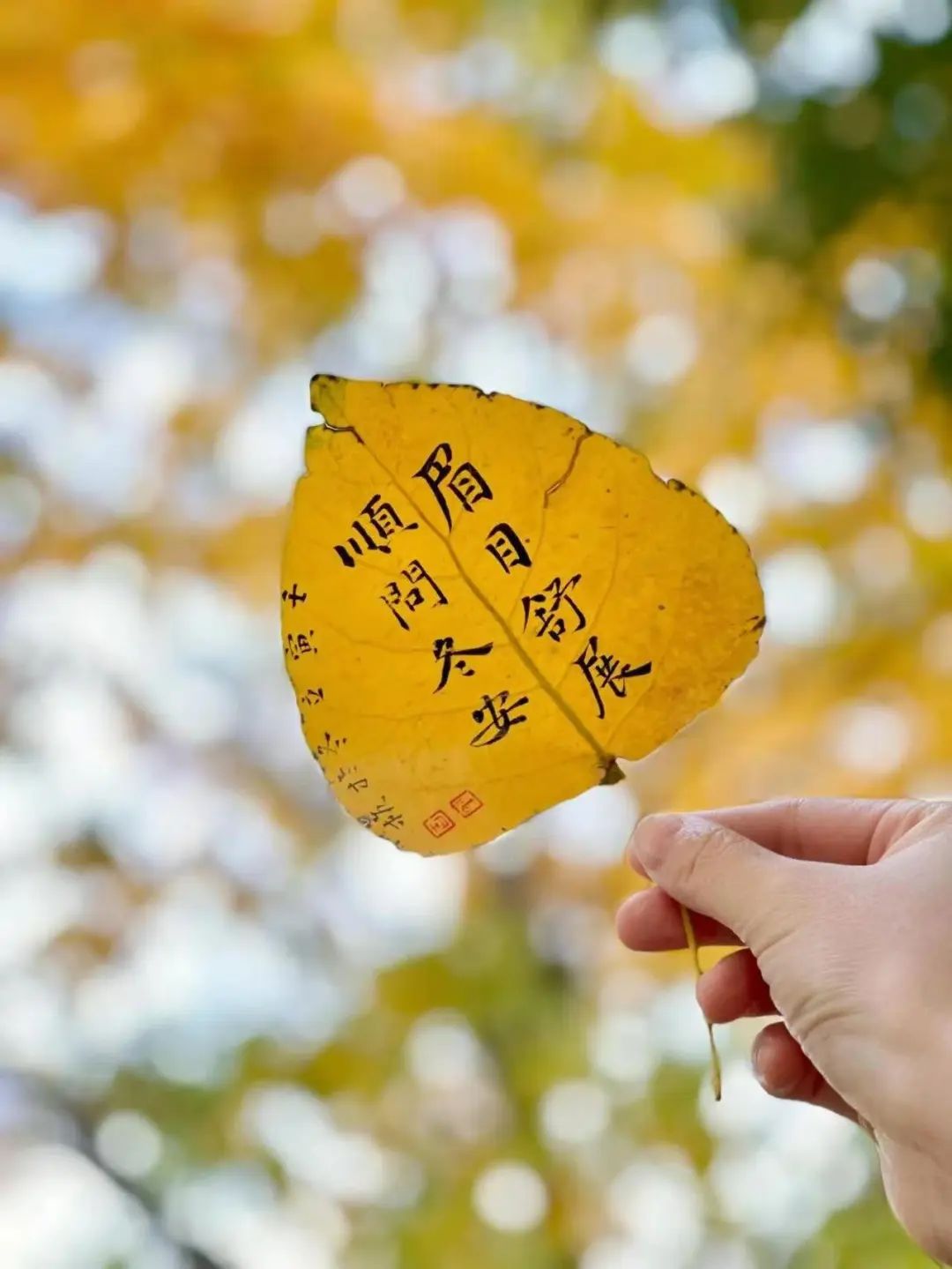 “˗ˋˏ早安朋友圈文案ˎˊ˗²⁰²⁴/₁₁.₀₇：愿你三冬暖，愿你春不寒，立冬快乐呀”-8077-7