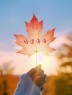 “不一样的‘早安文案’，太招财了！”-8084-2
