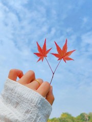 “不一样的‘早安文案’，太招财了！”-8084-3
