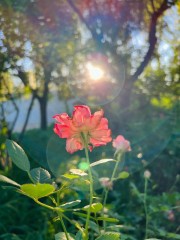 “不一样的‘早安文案’，太招财了！”-8084-9