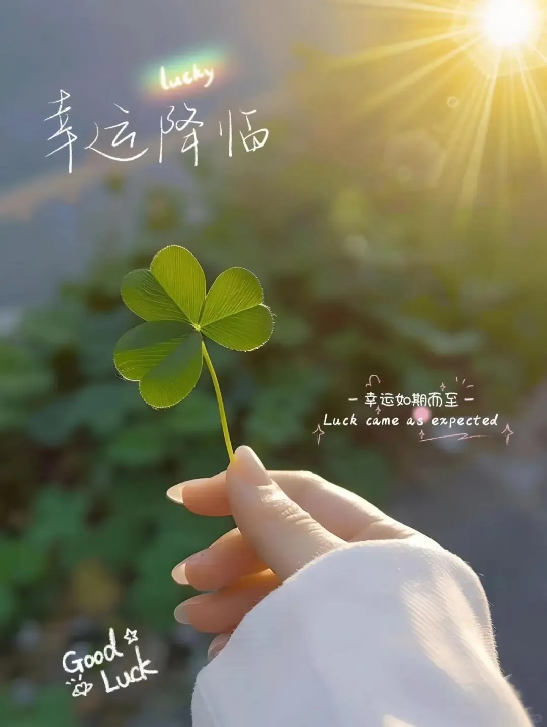 早安朋ᩚ友ᩚ圈ᩚ文案 ²⁰²⁴/₁₁.₁₃：敬过往，爱当下，向未来 ˗ˏˋ 🧡ˎˊ˗-8089-1