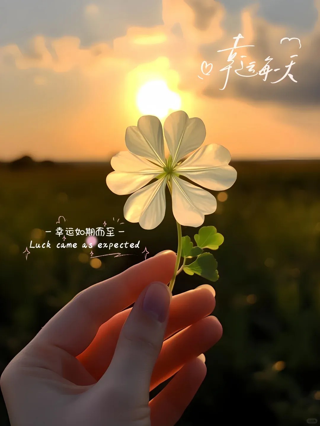 早安朋ᩚ友ᩚ圈ᩚ文案 ²⁰²⁴/₁₁.₁₃：敬过往，爱当下，向未来 ˗ˏˋ 🧡ˎˊ˗-8089-2