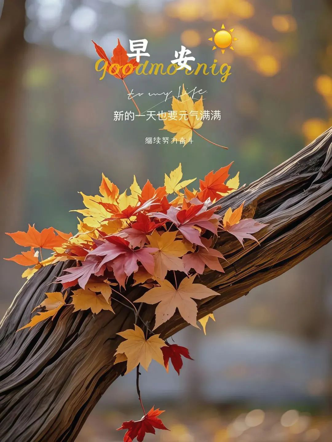 “²⁰²⁴/₁₁.₁₂ ᵕ̈ 朋ᩚ友ᩚ圈ᩚ🥂早安文案🧡ᐝ ”-8095-1