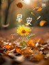 “²⁰²⁴/₁₁.₂₇ ᵕ̈ 朋ᩚ友ᩚ圈ᩚ🥂早安文案🧡ᐝ ”-8128-1