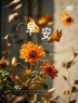 “²⁰²⁴/₁₁.₂₇ ᵕ̈ 朋ᩚ友ᩚ圈ᩚ🥂早安文案🧡ᐝ ”-8128-2