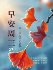 ²⁰²⁴/₁₁.₂₇ ᵕ̈ 周三早安：未来的日子心有温暖，无畏寒风！-8129-1