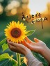ˎˊ˗²⁰²⁴ᰔᩚ/₁₁.₂₄早安朋友圈文案:悦己者，自成山海！-8131-1