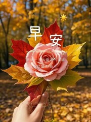 “ ²⁰²⁴/₁₁.₂₀ ᵕ̈ 朋ᩚ友ᩚ圈ᩚ🥂早安文案˗ˏˋ🧡ˎˊ˗ ”-8141-1