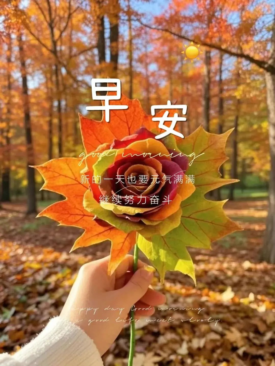 “ ²⁰²⁴/₁₁.₂₀ ᵕ̈ 朋ᩚ友ᩚ圈ᩚ🥂早安文案˗ˏˋ🧡ˎˊ˗ ”-8141-2
