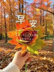 “ ²⁰²⁴/₁₁.₂₀ ᵕ̈ 朋ᩚ友ᩚ圈ᩚ🥂早安文案˗ˏˋ🧡ˎˊ˗ ”-8141-2