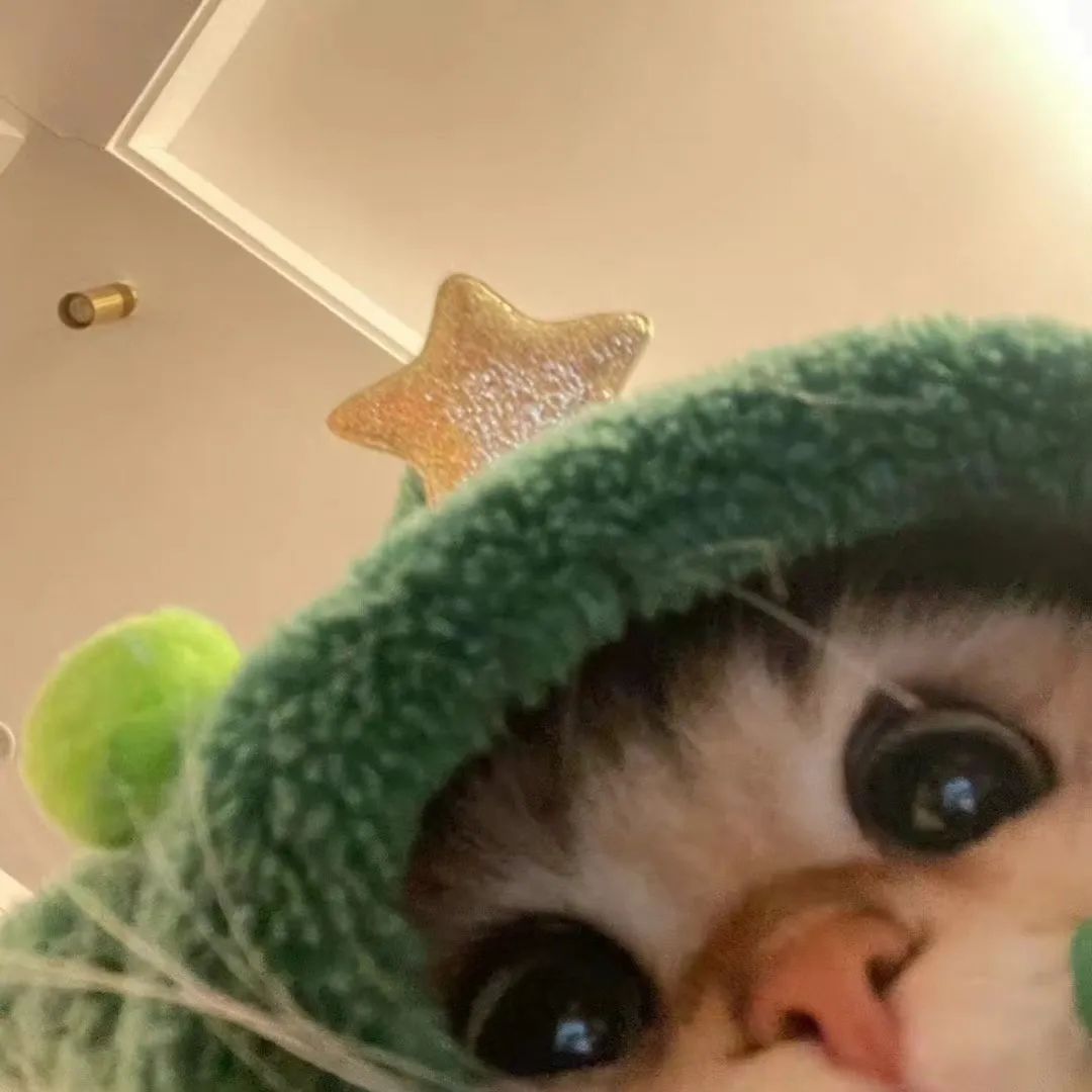 “人生歪理，歪得很有道理”-8545-2