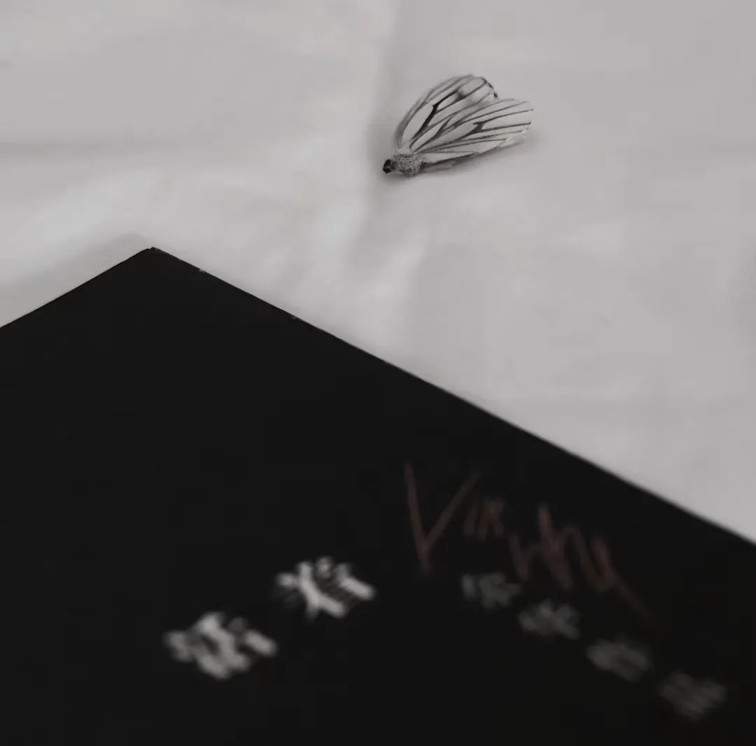 “人生歪理，歪得很有道理”-8545-8