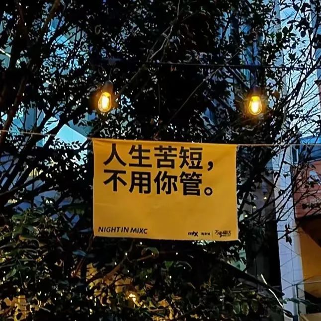 “人生歪理，却字字真理”-8569-1