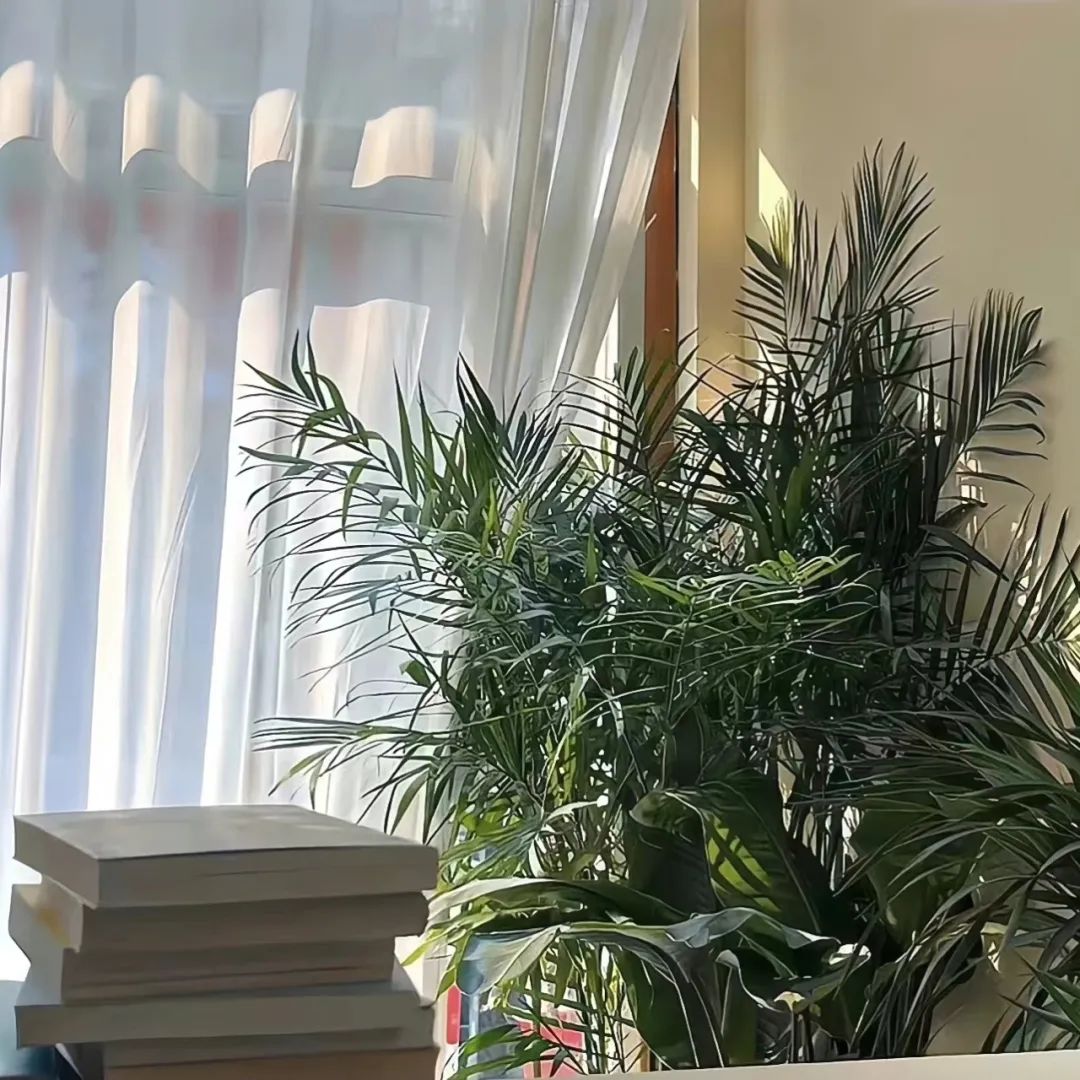 “人生歪理，句句真理”-8574-3
