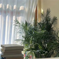 “人生歪理，句句真理”-8574-3