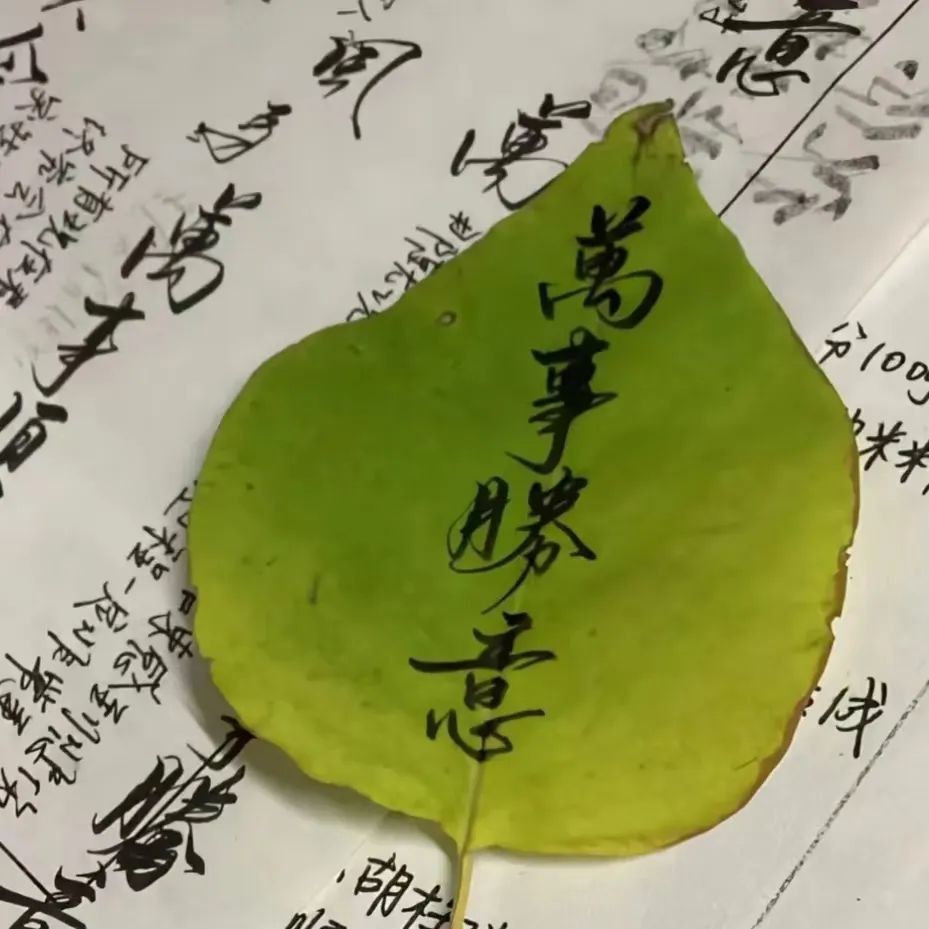 “上班别看，怕你忍不住笑出声”-8589-4