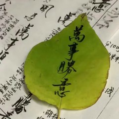 “上班别看，怕你忍不住笑出声”-8589-4
