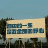“上班别看，怕你忍不住笑出声”-8589-8