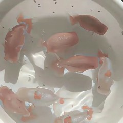 “人生歪理，但句句都是真理”-8606-4