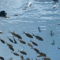 “人生歪理，但句句都是真理”-8606-8