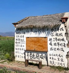 “上班了，高级一点怎么说”-8787-8