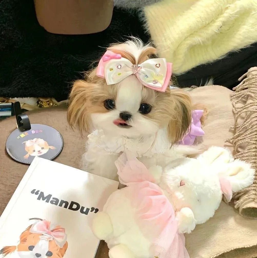 “句句歪理，句句在理”-8794-7