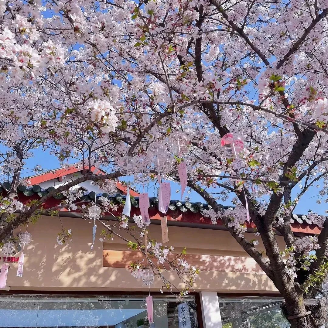 “当异性问“你多大了”，这么回，笑趴他”-8860-6