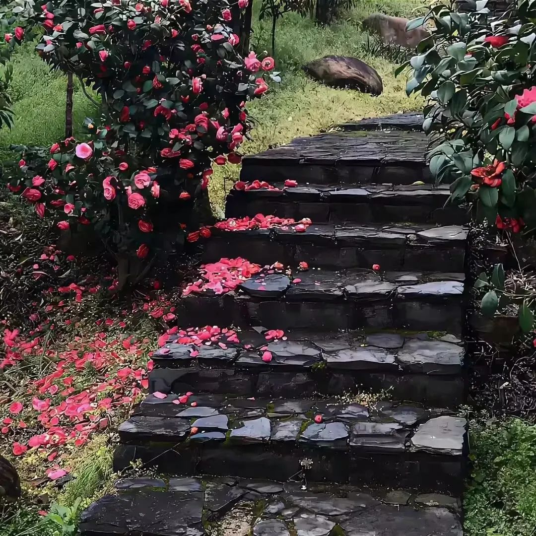 “当异性问“你多大了”，这么回，笑趴他”-8860-8