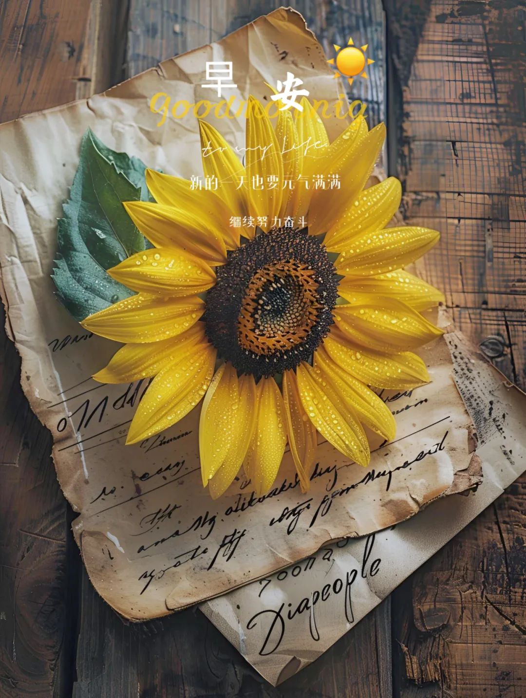 “˗ˋˏ早安朋友圈文案ˎˊ˗²⁰²⁴/₁₂.₀₂：努力为媒，时间作答，人生缓缓，自有答案”-5198-3