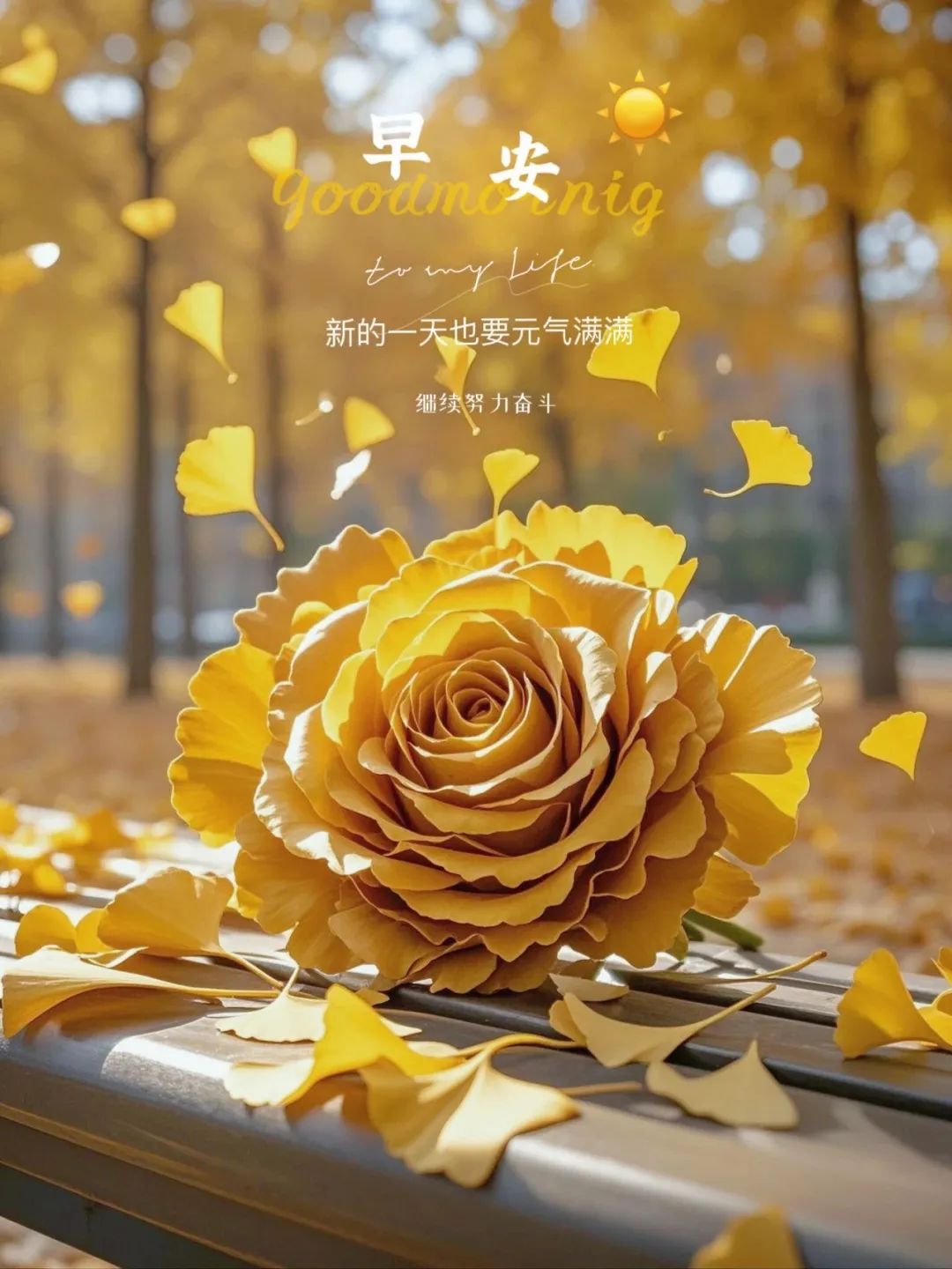 “ ²⁰²⁴/₁₁.₂₅ᵕ̈ 朋友圈🥂早安文案˗ˏˋ🧡ˎˊ˗ ”-5244-2