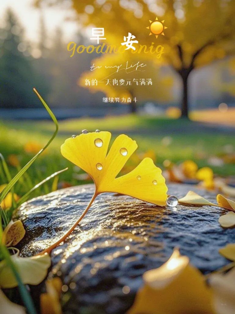 “˗ˋˏ早安朋友圈文案ˎˊ˗²⁰²⁴/₁₁.₂₄：保重身体， 健康第一”-5250-1