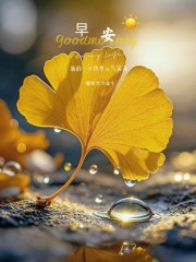 “˗ˋˏ早安朋友圈文案ˎˊ˗²⁰²⁴/₁₁.₂₄：保重身体， 健康第一”-5250-3