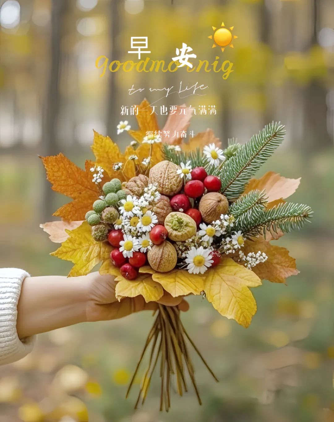 “˗ˋˏ早安朋友圈文案ˎˊ˗²⁰²⁴/₁₁.₂₂：自行，自醒，自清欢”-5259-1